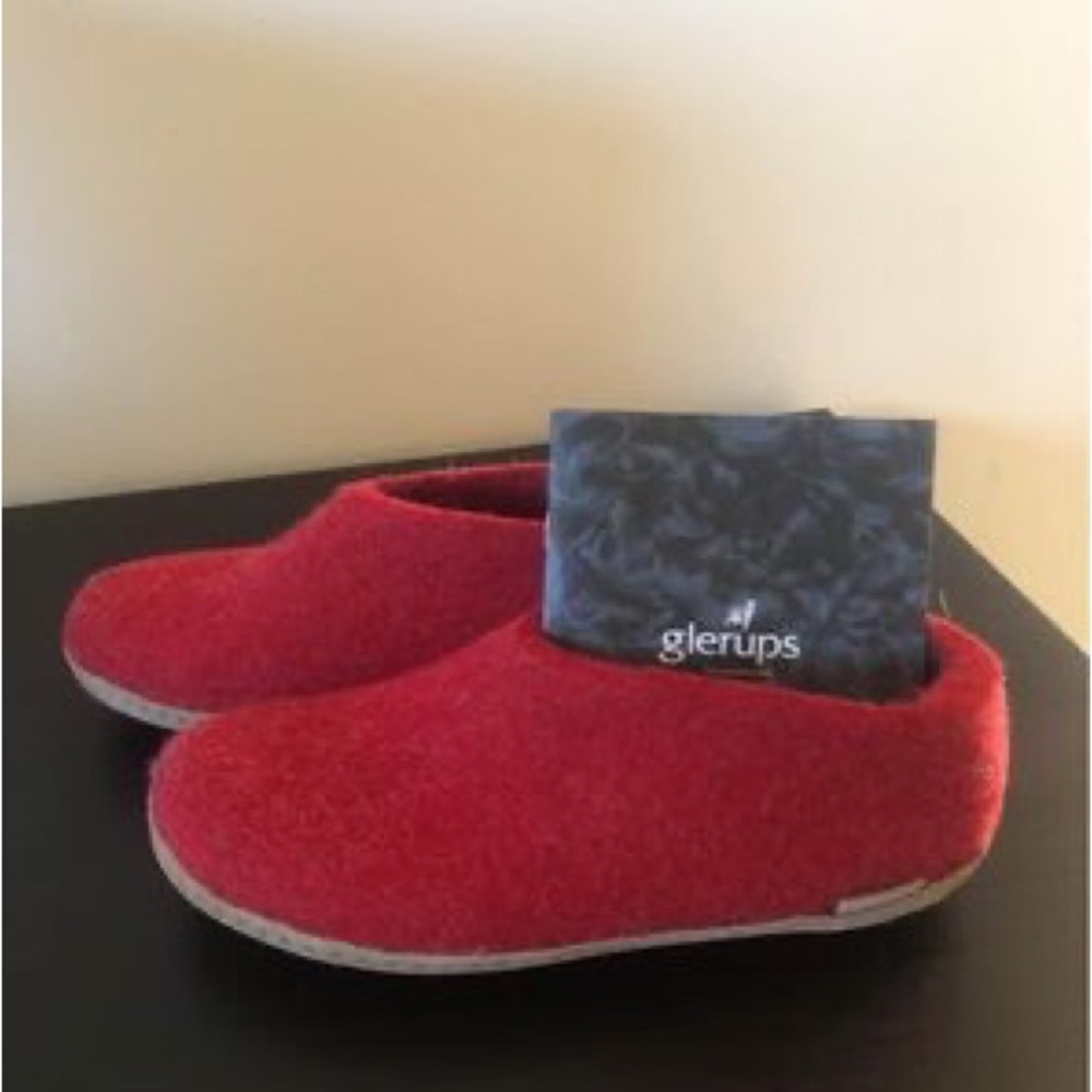 ❗️NWT❗️ Glerups Slippers